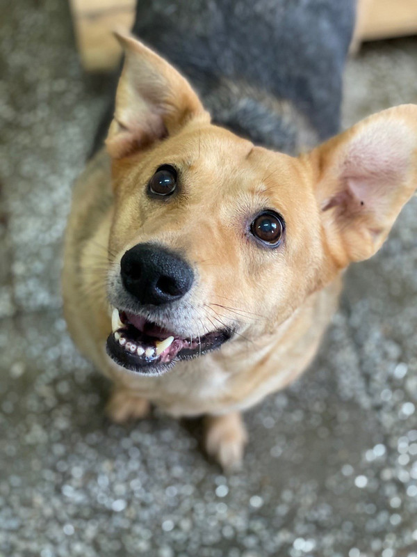 69E82F6B-2F32-4CB6-8F8D-FCF8579669DC