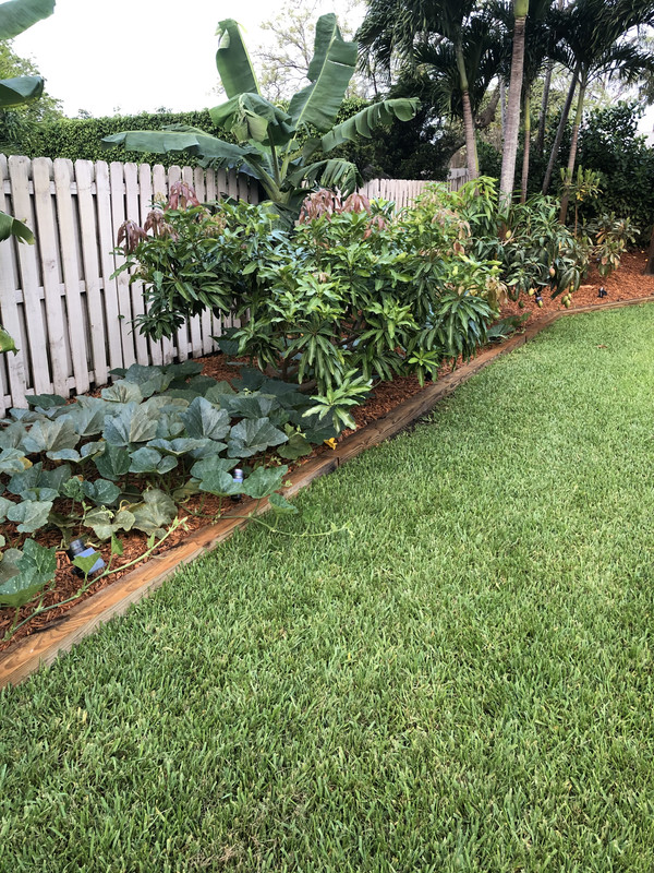 44614EA3-C12F-4F29-8269-0668ACD1D822