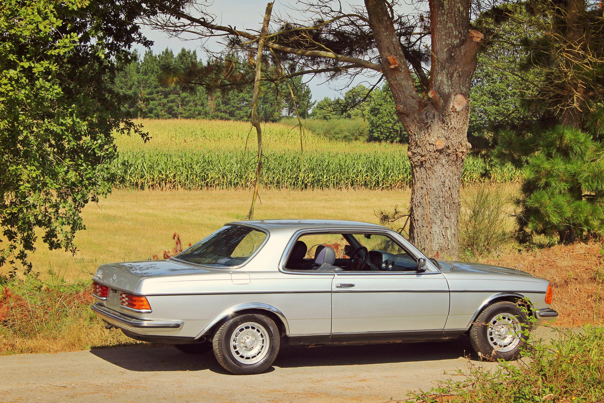 Vendo Mercedes 230ce C123 W123 Coupe 81 A Coruna Gris 4990 Vendido El Foro De Pieldetoro Net