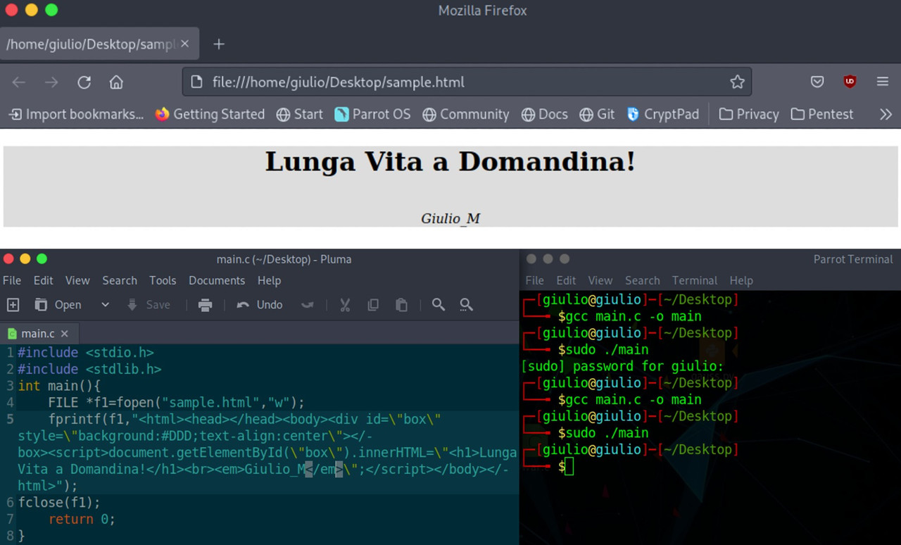 IOCCC-domandina-contest