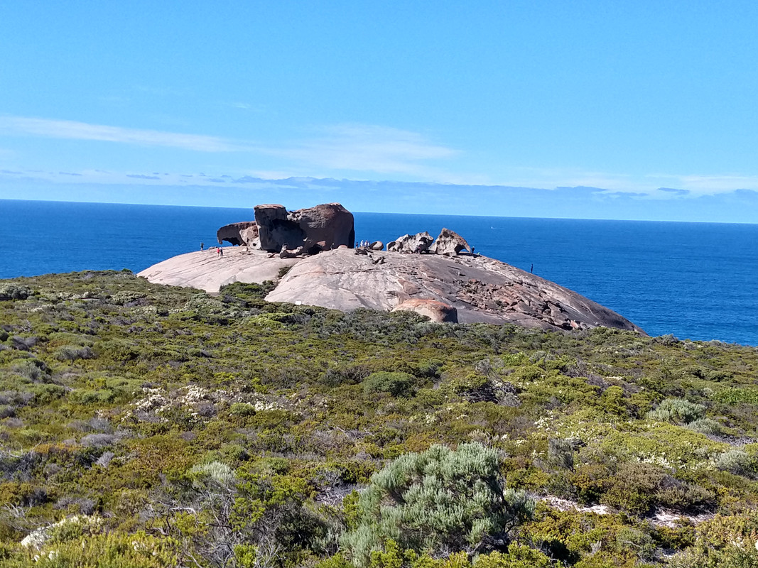 ISLA KANGURO - 2º DIA - AUSTRALIA , "QUE GRAN PAIS" (1)