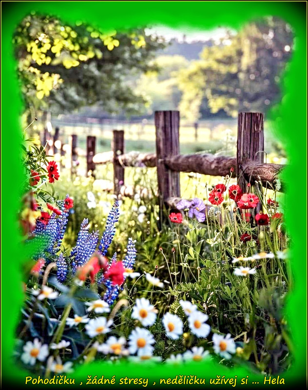 neděle30.6.2025úúúpr