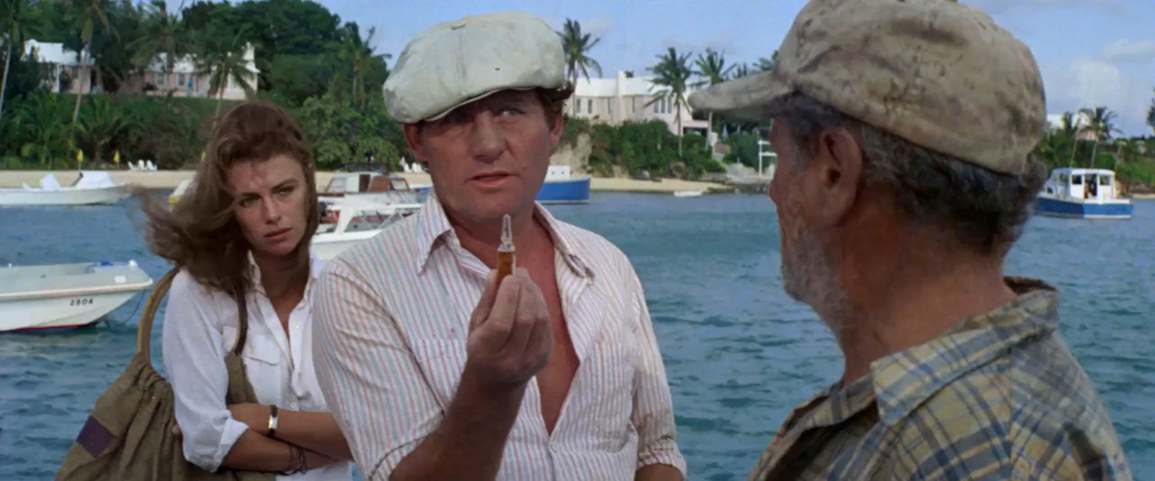 The Deep 1977 BluRay [Hindi + Tamil + Telugu + English] 480p 720p ESub Screenshot