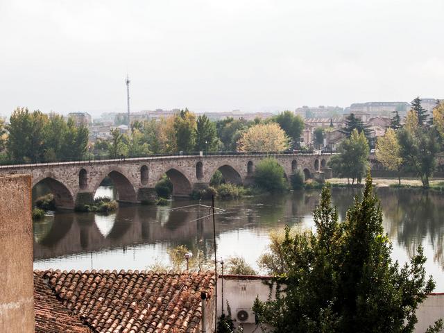 ZAMORA, TORO y "Las Edades del Hombre" - Blogs of Spain - Sábado en Zamora (31)
