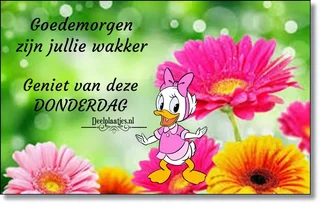 deelplaatjes-nl-donderdag-genieten-409559