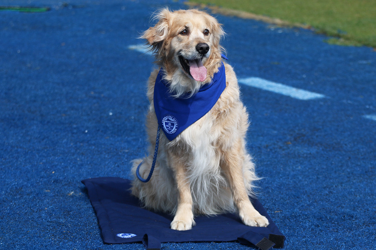 335EB86C-7561-4A13-8992-823ABBBD2D9A