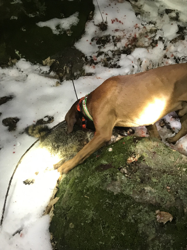 153A4EB2-F210-4E93-BA68-9801D93DB4F5