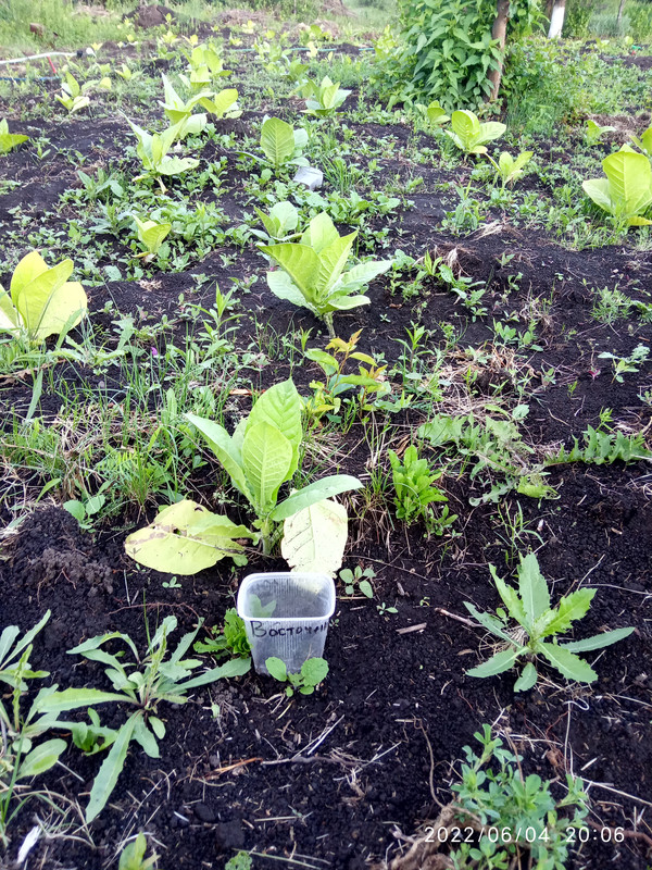 16543480022604324104584790227053