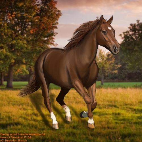 Autumn-Chestnut.jpg