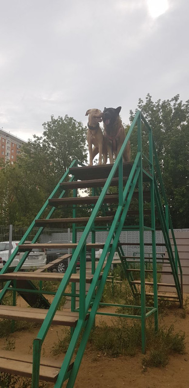 7E64E2AB-517B-409A-8EDE-07B007F6008A