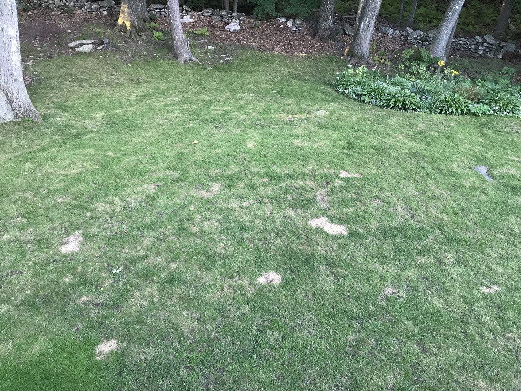 604C4D7E-E010-47D4-A572-46393FF9C04F