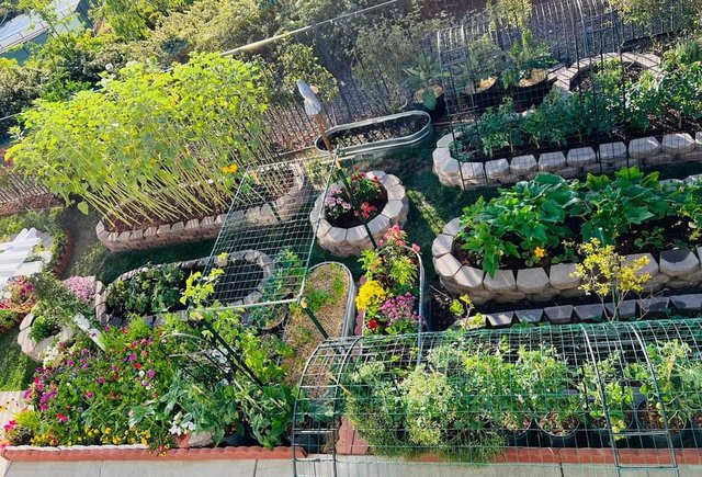 [Image: 43-BC766-F-2-EB2-4247-B5-ED-079-AB86-FFAC6.jpg]