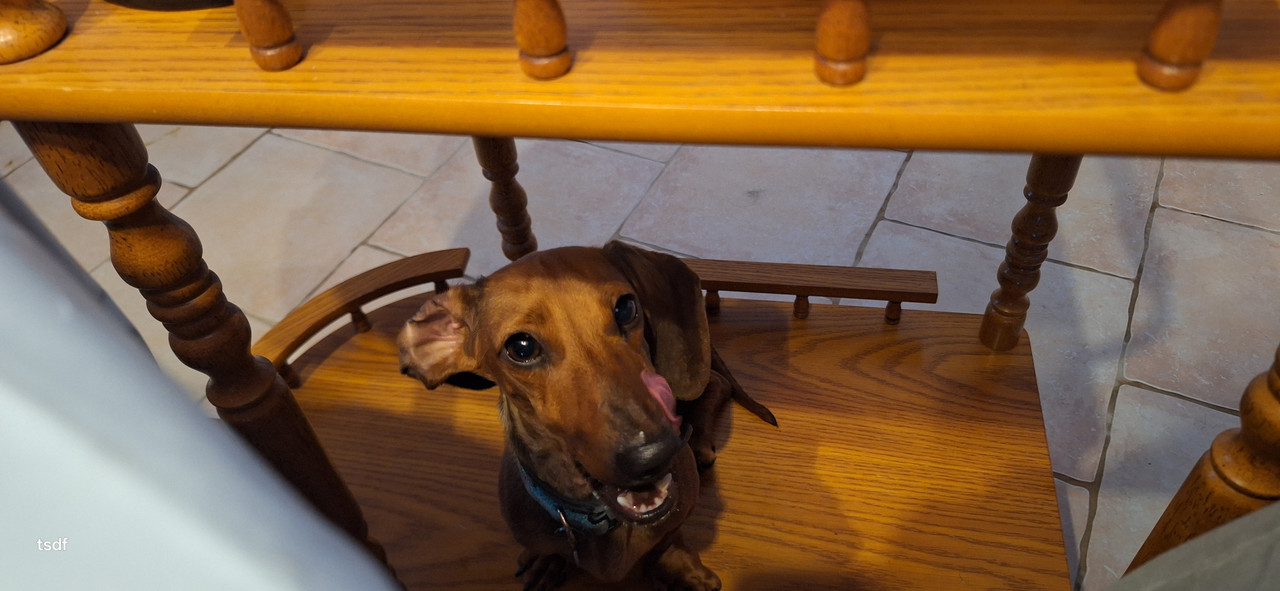 [Image: 20250722-210125.jpg]