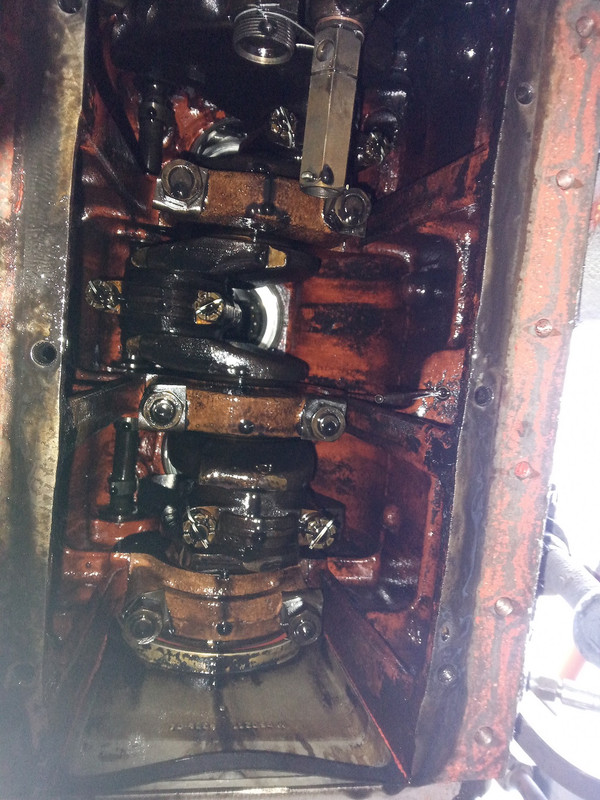 IMG 20250930 175555 MP (1)