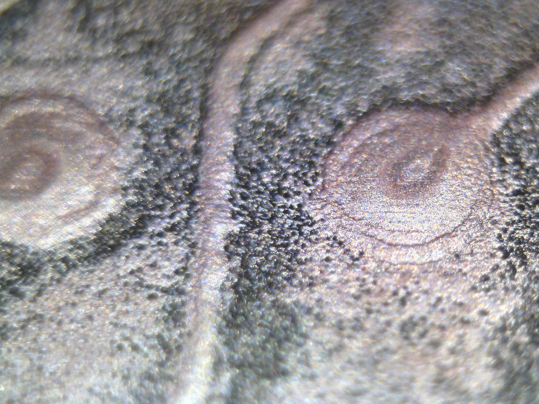 Изображение 004