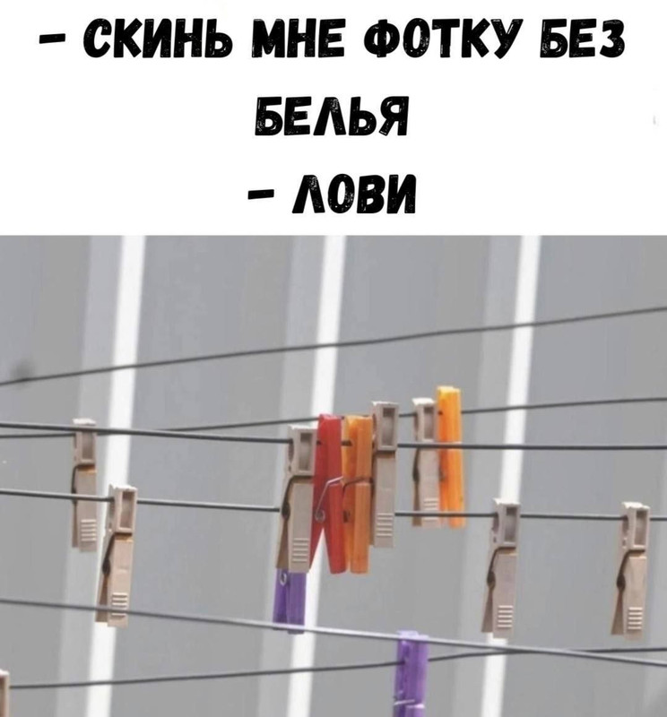 Без названия (2)