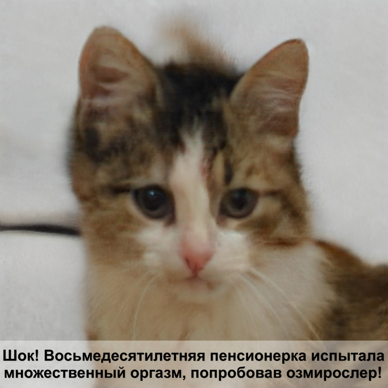 кровать для кошки своими руками