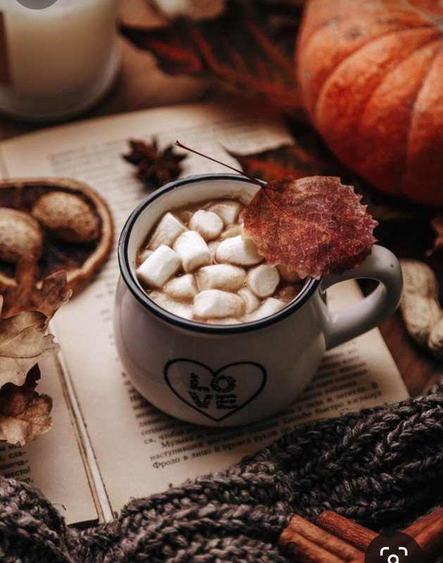 Screenshot_20230905_020032_Pinterest