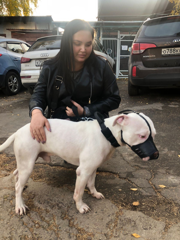 EB28195E-1917-43DE-8A83-D27FADB98CC7