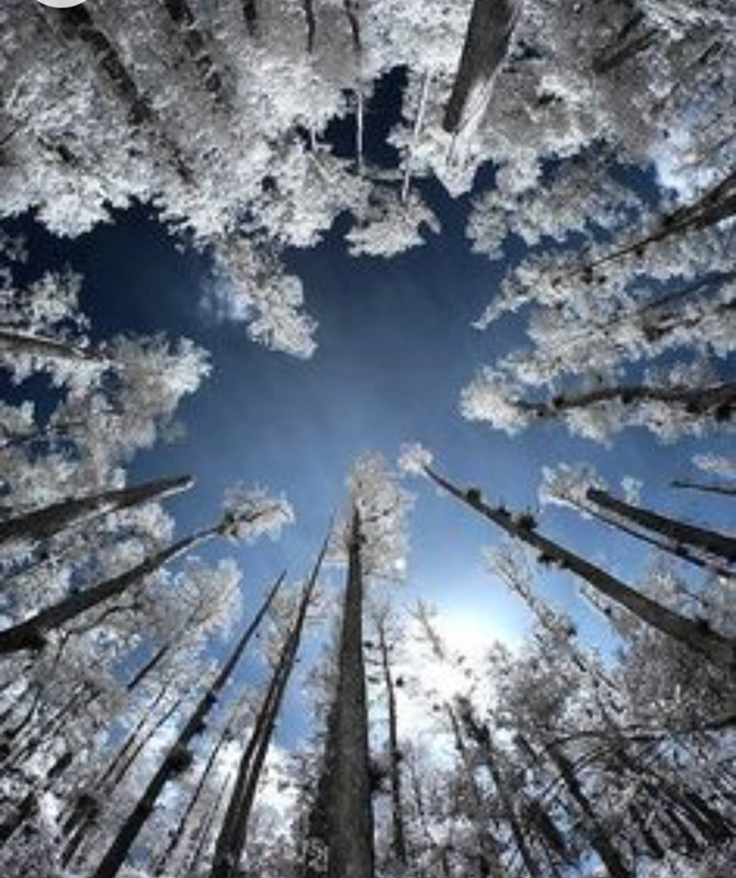 Screenshot_20221209-002840_Chrome