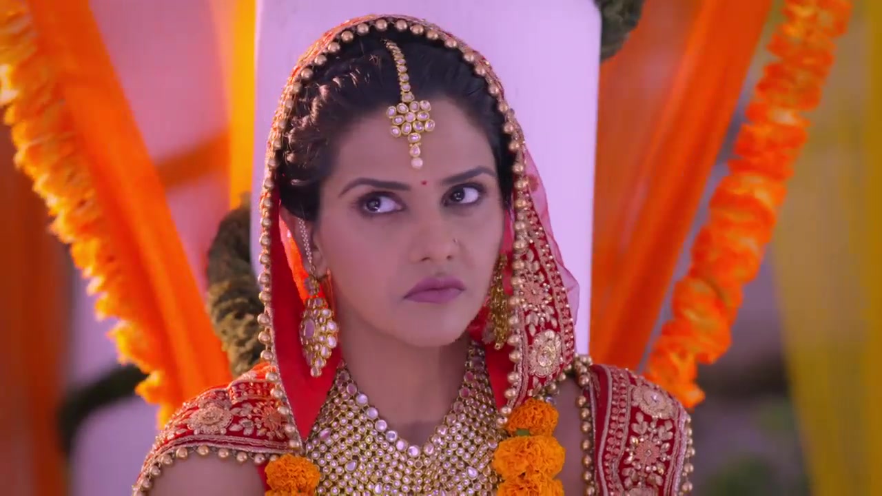 index-v1-a1_53 (2) 019