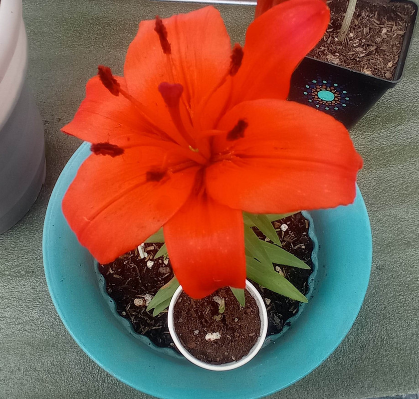 316903180_845413566603443_662972919315094681_n