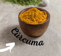 3347 | Curcuma Don Ilmo X 500 Grs