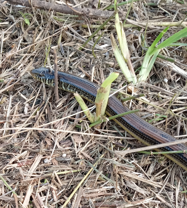 IMG_20240107_153017970~3