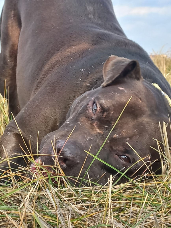 0DD5C6A4-F311-4486-8216-66D61BEF344C