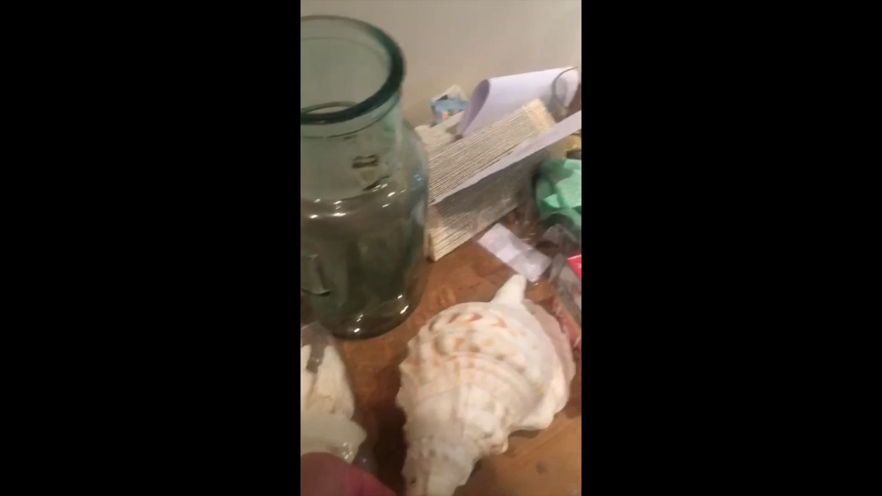 Dos.cipreses.(2024,Corto).WEBDL.1080p.by.ivi25.para.exploradoresp2p.mkv_snapshot_02.33_[2025.08.27_1