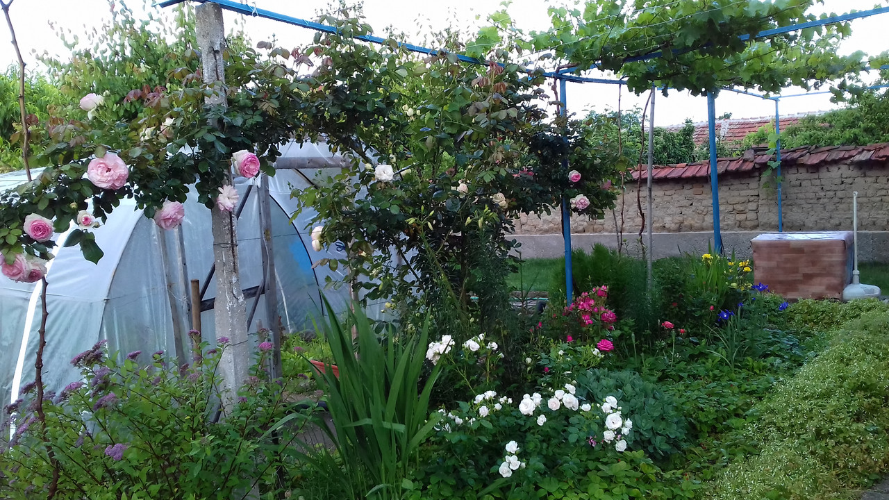 20190524_071053