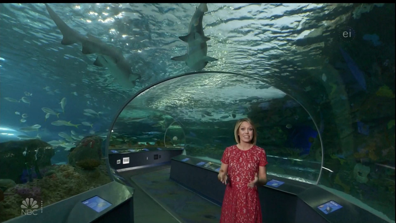11.07 - 15.00.00 - Earth Odyssey With Dylan Dreyer. The world's smart....ts_snapshot_00.54.17.879