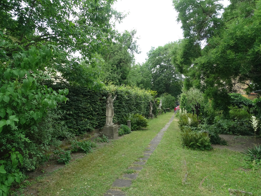 DSC00388.jpg