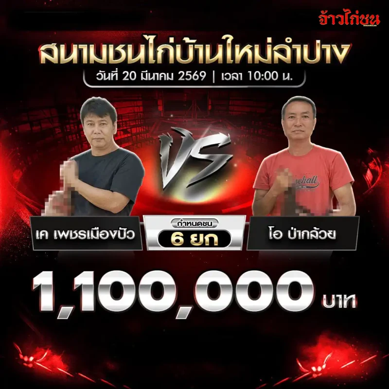 โปรแกรมไก่ชน คู่เค เพชรเมืองปัว vs โอ ป่ากล้วย สนามชนไก่บ้านใหม่ลำปาง