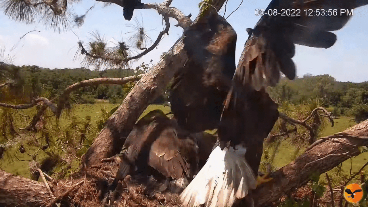 Webp.net-gifmaker (5)