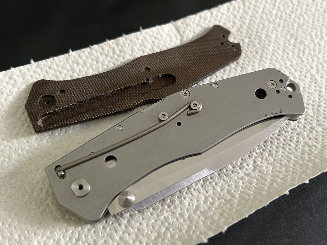 Gekko5.jpg