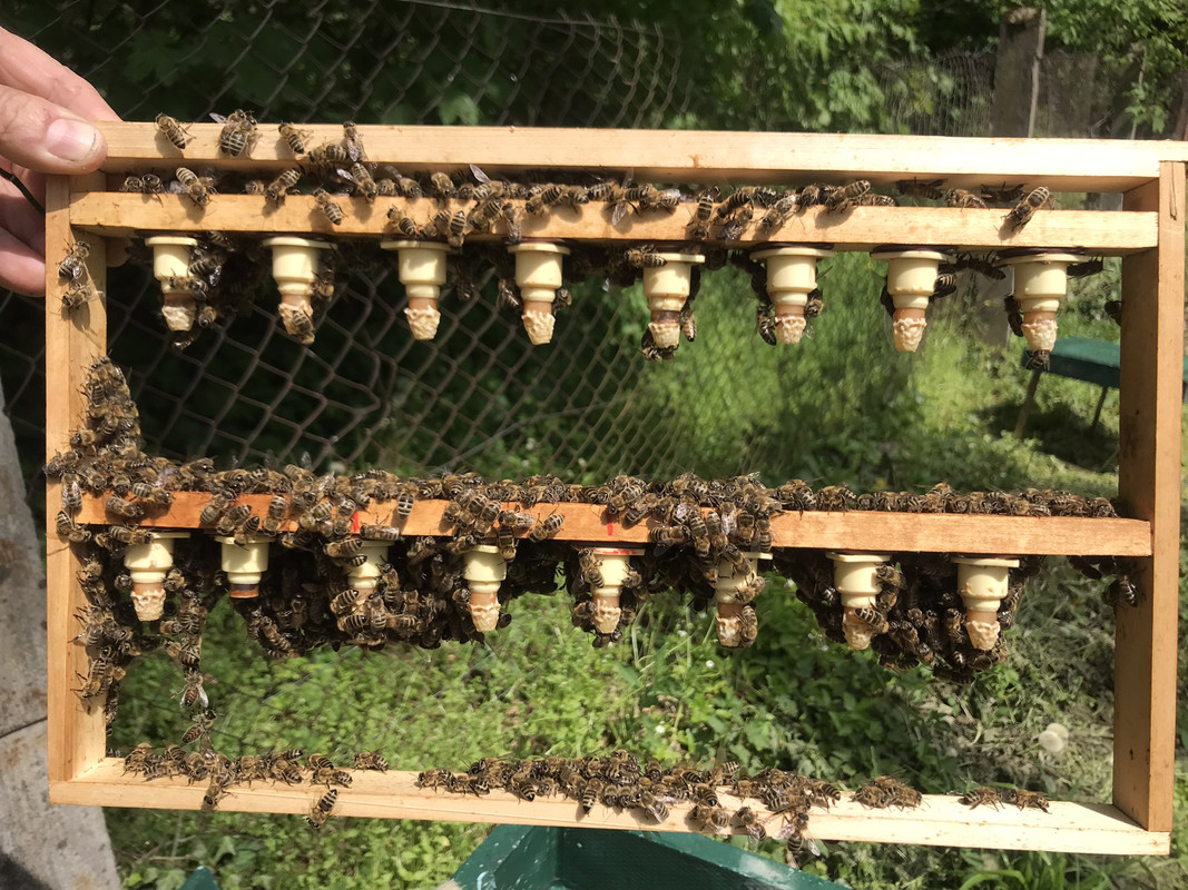 7FE34F53-CC38-490F-8903-821621F8EEC8_1_102_o