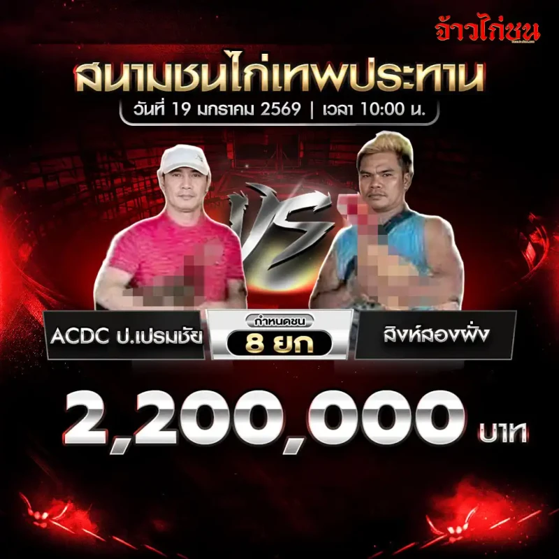 โปรแกรมไก่ชน คู่เด่น ACDC บ.เปรมชัย พบ สิงห์ทองพัง ชิง 2,200,000 บาท ชน 8 ยก