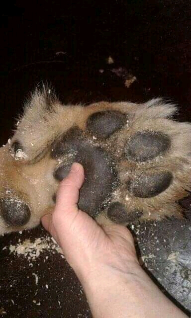 FB_IMG_16171335596479811