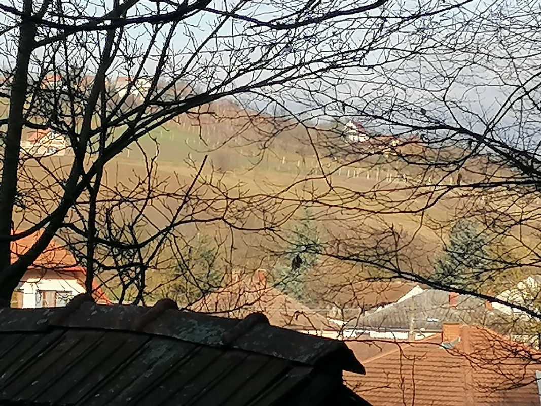 Kép