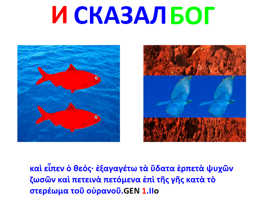 https://i.postimg.cc/GtVCWM8g/1177.png