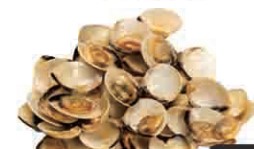 55. Almejas Y Salsa Teriyaki