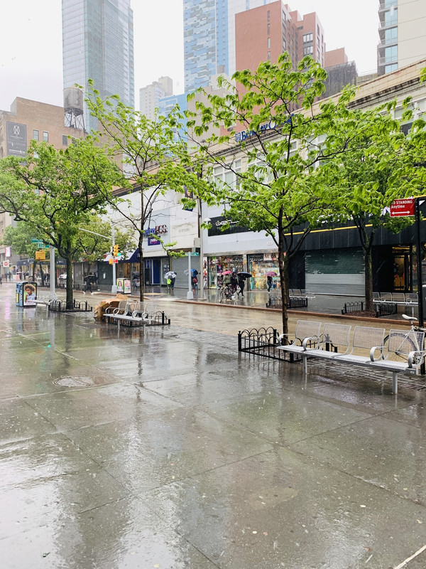 1C1B936B-7E3A-4CB4-A9F7-DDBEA22E4464