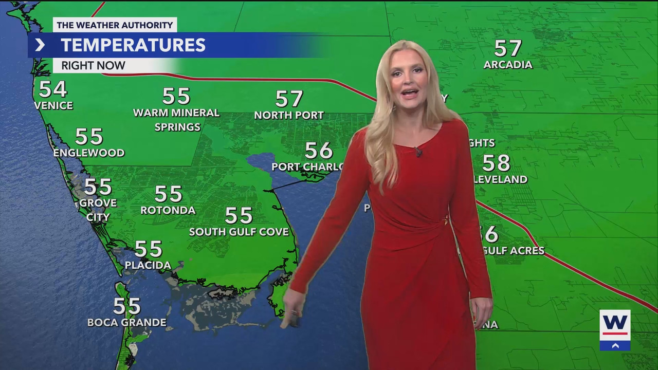 WINK News at 11_20241201_04000500.ts_snapshot_00.44.50.859