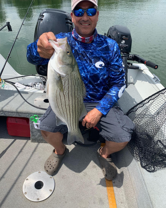 0BA5D0B0-693B-42F6-A454-4E256B1D1A48