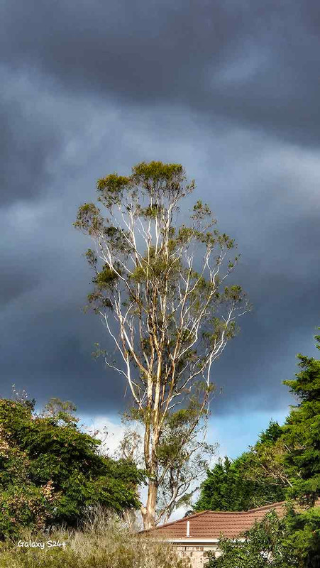 Ominous clouds