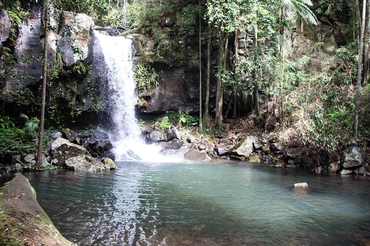 Curtis Falls
