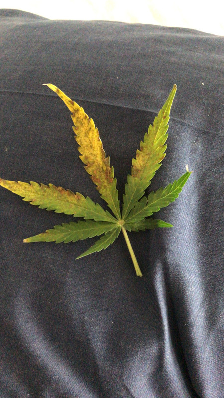 WhatsApp Image 2022-01-12 at 12.44.09