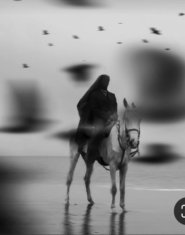 Screenshot_20240129_195522_Pinterest