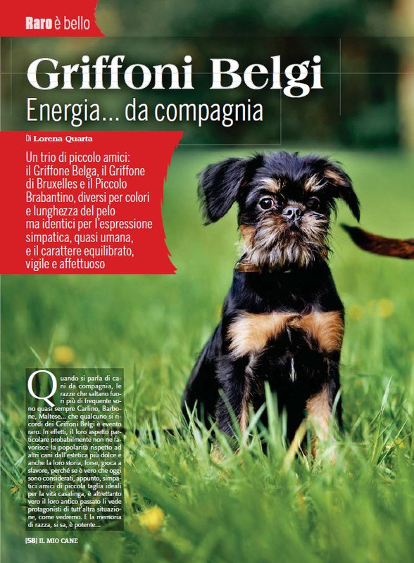 Il M C Dic 2022-Gen 2023 (9)